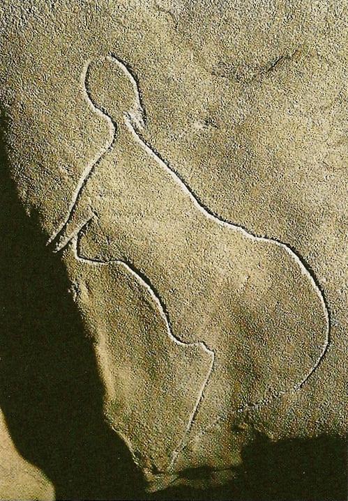 femme dordogne