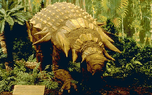 Edmontonia Dinosaur Rsultat : Walking With Dinosaurs Edmontonia Edmontonia Dinosaur Rsultat : Walking With Dinosaurs Edmontonia