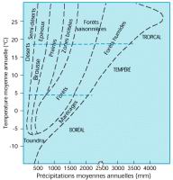 Rapport entre temperature, precipitation et vegetation.gif